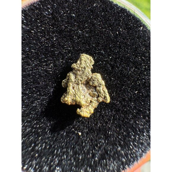 California Native Gold Crystal - 0.27 grams - Picture 6 of 6